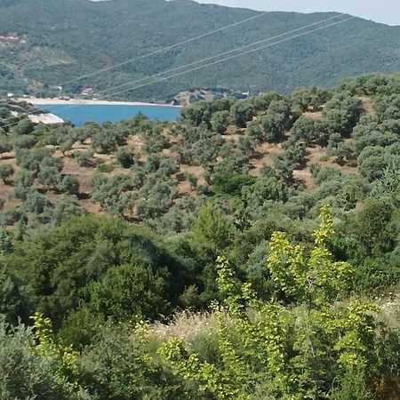 Art Hotel Panorama Pyrgadikia Exterior foto