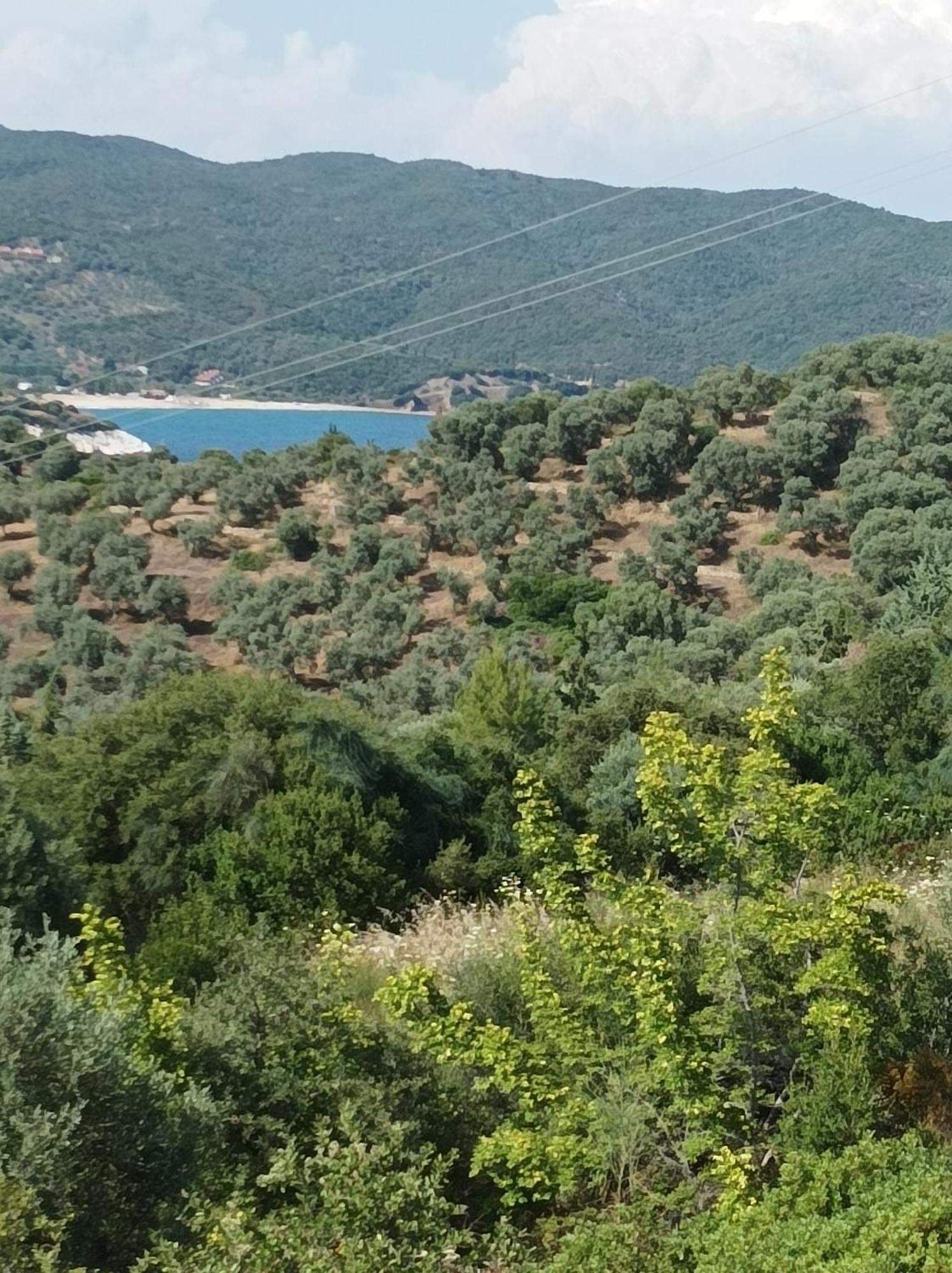Art Hotel Panorama Pyrgadikia Exterior foto